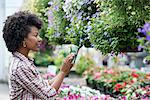 A woman in a plant nursery surrounded by flowering plants and green foliage.