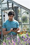 A young man working in a plant nursery, surrounded by flowering plants.