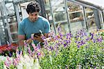 A young man working in a plant nursery, surrounded by flowering plants.