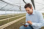 A commercial greenhouse in a plant nursery growing organic flowers. A man holding a digital tablet.