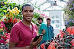 A commercial greenhouse in a plant nursery growing organic flowers. Man working, using a digital tablet.