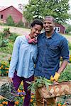 An organic vegetable garden on a farm. A couple carrying baskets of freshly harvested corn on the cob and green leaf vegetables.