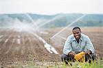 An organic vegetable farm, with water sprinklers irrigating the fields. A man in working clothes.