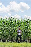A man in working clothes standing in front of a tall maize crop, towering over him.