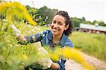 Woman working on an organic farm. Wearing gloves Admiring tall flowering plants.