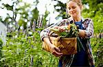 A woman carrying a full basket of fresh picked corn on the cob, and vegetables from the garden.