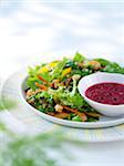 Close-up of Salad with Pomegranate Dressing