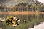 Farmers at the Maussakele Reservoir between Dalhousie and Hatton, Nuwara Eliya District, Central Highlands, Sri Lanka, Asia