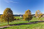 Lenzkirch-Saig, Black Forest, Baden Wurttemberg, Germany, Europe