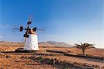 Windmill, El Cotillo, Fuerteventura, Canary islands, Spain, Atlantic, Europe