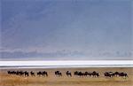 Herd of Blue Wildebeest, Ngorongoro Crater, Tanzania, East Africa