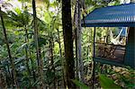 Silky Oaks Lodge in the treetops of Daintree Rainforest, Queensland, Australia