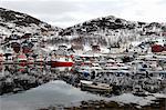 Fishing boats in the harbour at Skjervoy, Troms, Norway, Scandinavia, Europe