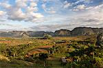 Vinales Valley, UNESCO World Heritage Site, bathed in early morning sunlight, Vinales, Pinar Del Rio Province, Cuba, West Indies, Central America
