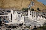 Ruins of the Roman-Byzantine city of Scythopolis, Tel Beit Shean National Park, Beit Shean, Israel, Middle East