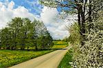 Rural scene in spring, Vogtland, Saxony, Germany, Europe