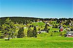 Pasture and forest, Erzgebirge, Saxony, Germany, Europe