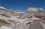 Sedimentary layers of bluish bentonite clay, Blue Mesa Trail, Blue Mesa, Petrified Forest National Park, Arizona, United States of America, North America