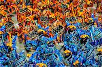 Samba Parade at the Carnival in Rio de Janeiro, Brazil, South America