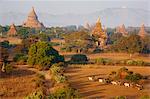 Bagan (Pagan), Myanmar (Burma), Asia