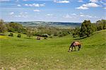 Cotswold landscape, Stow-on-the-Wold, Gloucestershire, England, United Kingdom, Europe