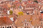 Looking out over the rooftops of Dijon, Burgundy, France, Europe