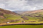 Swaledale in the Yorkshire Dales National Park, Yorkshire, England, United Kingdom, Europe