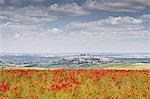 The village of Sancerre with a field of poppies in the foreground, Cher, Centre, France, Europe