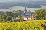 Champagne vineyards in the Cote des Bar area of the Aube department near to Les Riceys, Champagne-Ardennes, France, Europe