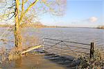 Flooded gateway and pastureland on West Moor near Hambridge on the Somerset Levels after weeks of heavy rain, Somerset, England, United Kingdom, Europe