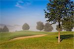 Summer golf course in the morning mist