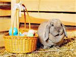 gray lop-earred rabbit and Easter basket on hayloft