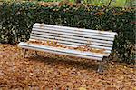 bench covered in autumn leaves in a park