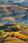 Vertical oriented image of rural houses on autumnal hills among vineyards of Langhe in Piedmont, Northern Italy (view from above).