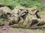 Kuks Forest Sculptures - Sleeping Mary Magdalena - detail of the Baroque sculpture by Matthias Bernard Braun in the Bethlehem of Braun, Kuks, Czech Republic. The Bethlehem of Braun (Czech: Braunuv Betlem) is a complex of Baroque statues and relieves carved by famous sculptor Matthias Bernard Braun directly in sandstone rocks in the forest near complex Kuks Hospital in Northern Bohemia, Czech Repub