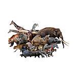 A Collage Of Wild Animals And Birds