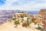 View of Grand Canyon from South Rim with sunset light