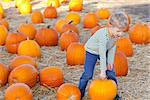 cute positive boy holding pumpkin at the pumpkin patch