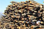 Background of firewood stacked in the woodpile