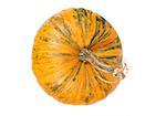 top view of fresh orange pumpkin isolated on white background