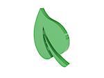 Green leaf icon over white background. Concept 3D illustration.