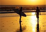 Silhouette of surfers in golden sunset light. Bali