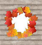 Illustration autumn leaves maple with copy space, wooden texture - vector