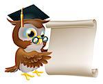 Illustration of a cute owl character in professor's or teacher's mortar board pointing at a scroll document, perhaps a certificate, diploma or other qualification, or just an announcement.