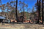 After the fire.   Bushfire destroys homes and vehicles in a random pattern while some are spared completely, others are razed to the ground.