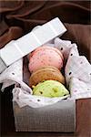 French multicolored macaroons in a gift box sweet present