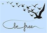 be free text with flying birds, vector illustration