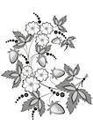 Illustration of abstract floral branch with strawberries
