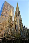 St. Patrick's Cathedral - is the largest Gothic style cathedral in the United States in New York City