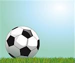 Soccer ball on grass